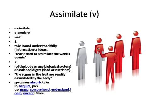 what is an assimile